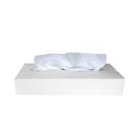 Ansiktsservett Soft, 2-lgr, 100ark/frp, 40frp/krt, Vit